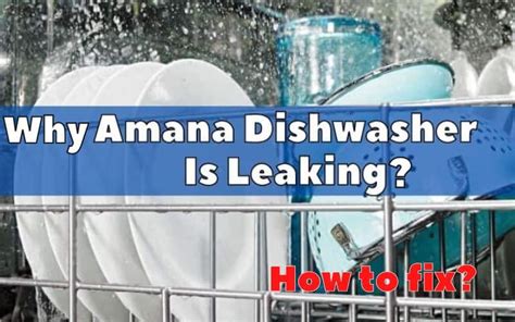 amana dishwasher leaking|Leaking